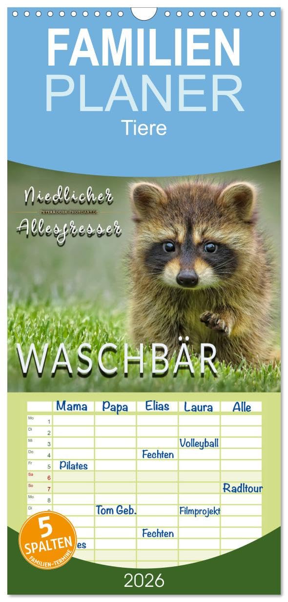 Familienplaner 2026 - Waschbär - Niedlicher Allesfresser mit 5 Spalten (Wandkalender, 21 cm x 45 cm), CALVENDO Lifestyle
