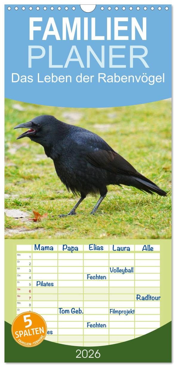 Familienplaner 2026 - Das Leben der Rabenvögel mit 5 Spalten (Wandkalender, 21 cm x 45 cm), CALVENDO Living & Furnishing