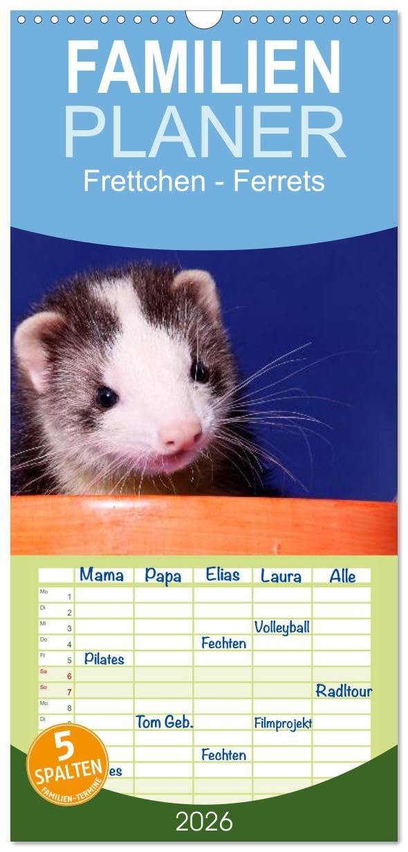 Familienplaner 2026 - Frettchen - Ferrets mit 5 Spalten (Wandkalender, 21 cm x 45 cm), CALVENDO Natural Sciences