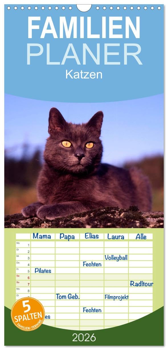 Familienplaner 2026 - Katzen mit 5 Spalten (Wandkalender, 21 cm x 45 cm), CALVENDO Leisure, Home & Garden