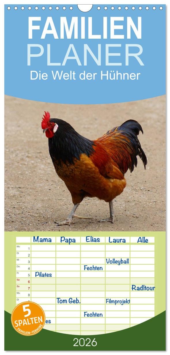 Familienplaner 2026 - Die Welt der Hühner mit 5 Spalten (Wandkalender, 21 cm x 45 cm), CALVENDO Living & Furnishing