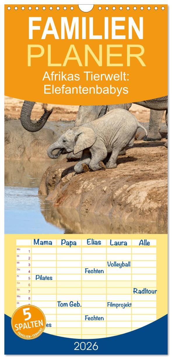Familienplaner 2026 - Afrikas Tierwelt: Elefantenbabys mit 5 Spalten (Wandkalender, 21 cm x 45 cm), CALVENDO Natural Sciences