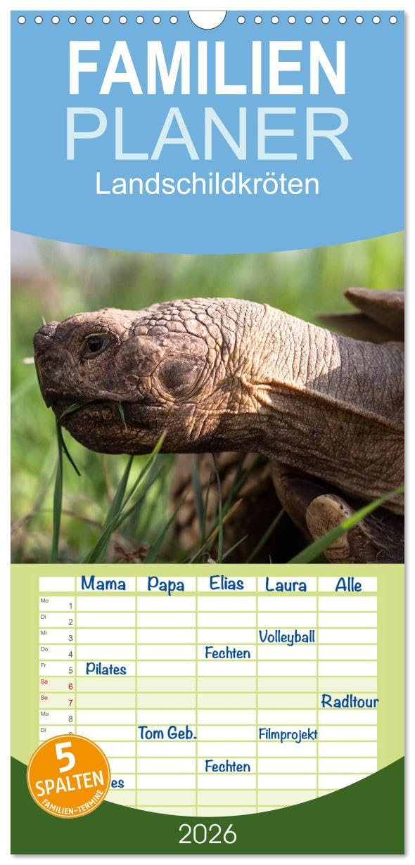 Familienplaner 2026 - Landschildkröten mit 5 Spalten (Wandkalender, 21 cm x 45 cm), CALVENDO Lifestyle