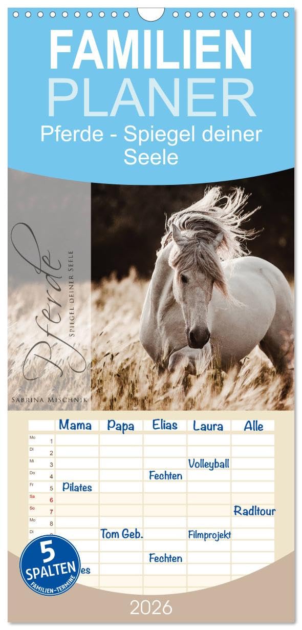 Familienplaner 2026 - Spiegel deiner Seele mit 5 Spalten (Wandkalender, 21 cm x 45 cm), CALVENDO Natural Sciences