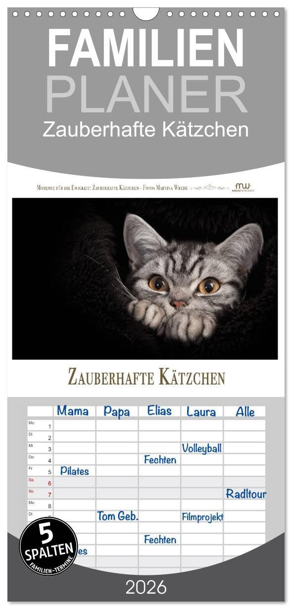 Familienplaner 2026 - Zauberhafte Kätzchen mit 5 Spalten (Wandkalender, 21 cm x 45 cm), CALVENDO Natural Sciences