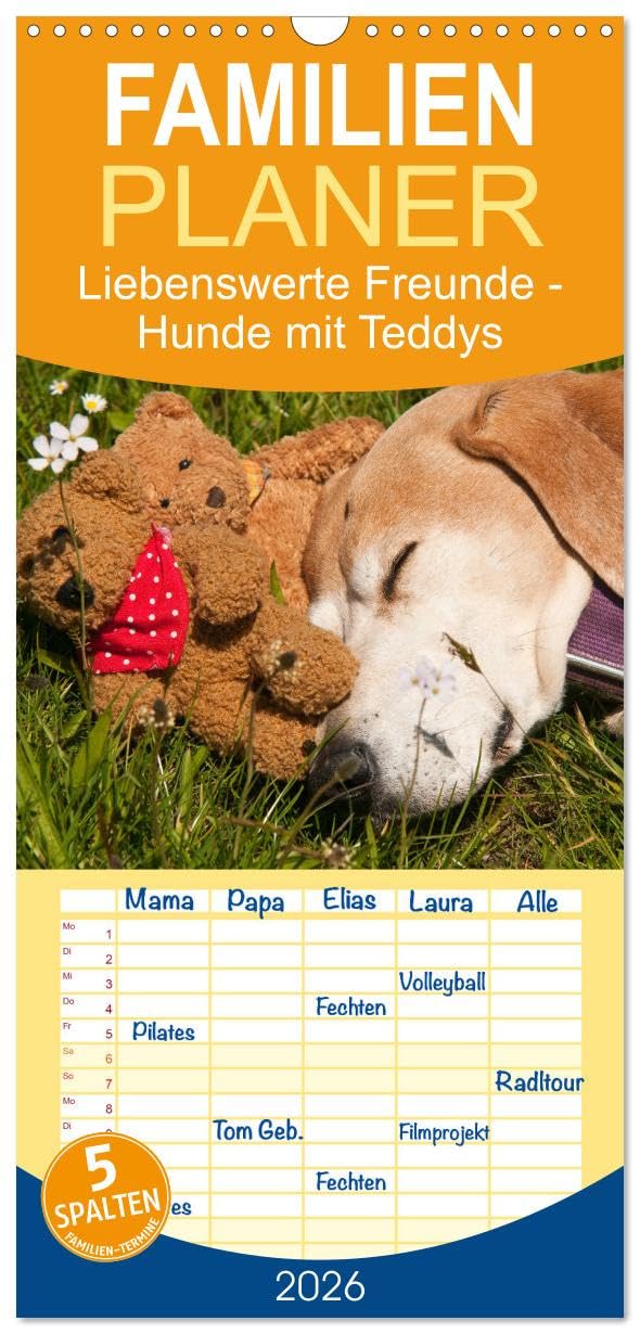 Familienplaner 2026 - Liebenswerte Freunde - Hunde mit Teddys mit 5 Spalten (Wandkalender, 21 cm x 45 cm), CALVENDO Leisure, Home & Garden