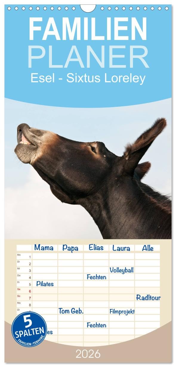 Familienplaner 2026 - Esel - Sixtus Loreley mit 5 Spalten (Wandkalender, 21 cm x 45 cm), CALVENDO Leisure, Home & Garden