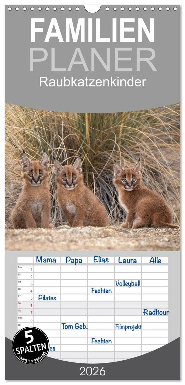 Familienplaner 2026 - Raubkatzenkinder mit 5 Spalten (Wandkalender, 21 cm x 45 cm), CALVENDO Natural Sciences
