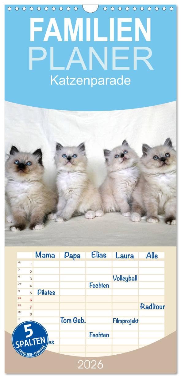 Familienplaner 2026 - Katzenparade mit 5 Spalten (Wandkalender, 21 cm x 45 cm), CALVENDO Social Sciences