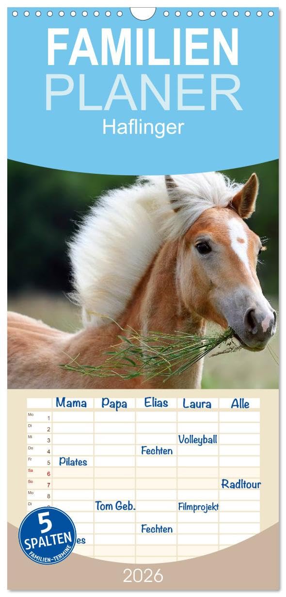 Familienplaner 2026 - Haflinger mit 5 Spalten (Wandkalender, 21 cm x 45 cm), CALVENDO Natural Sciences