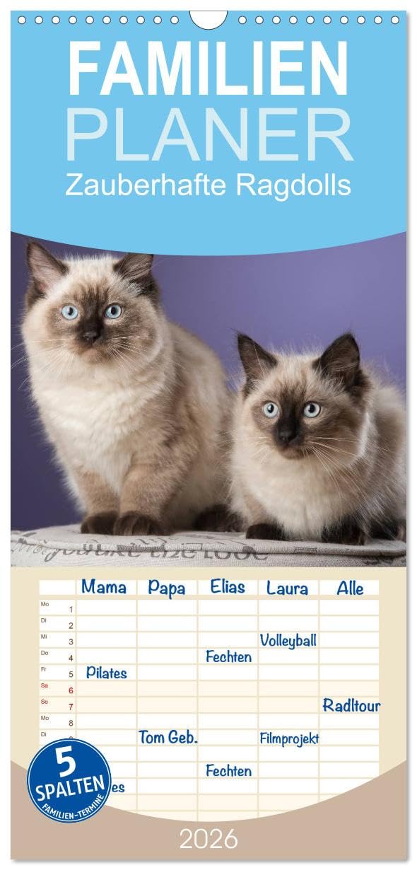 Familienplaner 2026 - Zauberhafte Ragdolls mit 5 Spalten (Wandkalender, 21 cm x 45 cm), CALVENDO Natural Sciences