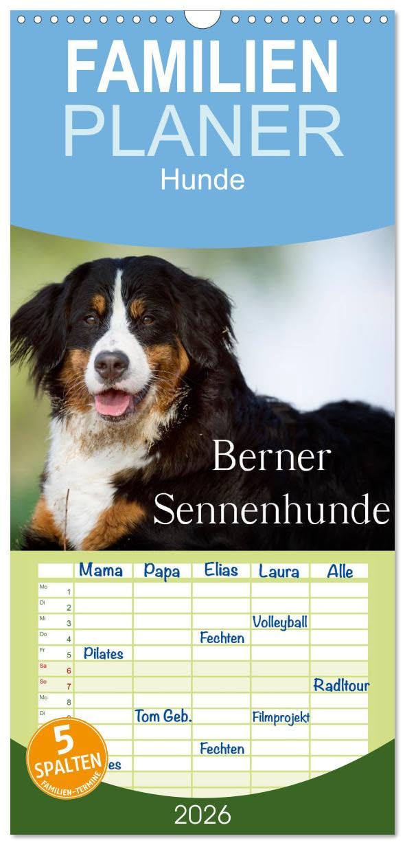 Familienplaner 2026 - Berner Sennenhunde mit 5 Spalten (Wandkalender, 21 cm x 45 cm), CALVENDO Photography