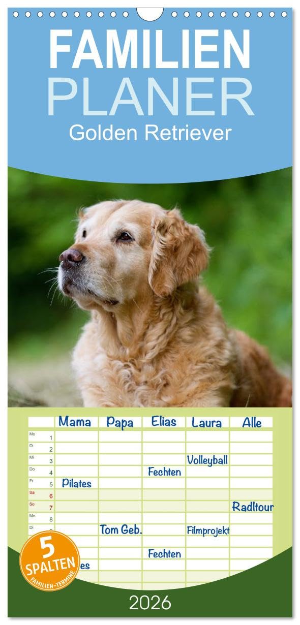 Familienplaner 2026 - Golden Retriever mit 5 Spalten (Wandkalender, 21 cm x 45 cm), CALVENDO Natural Sciences