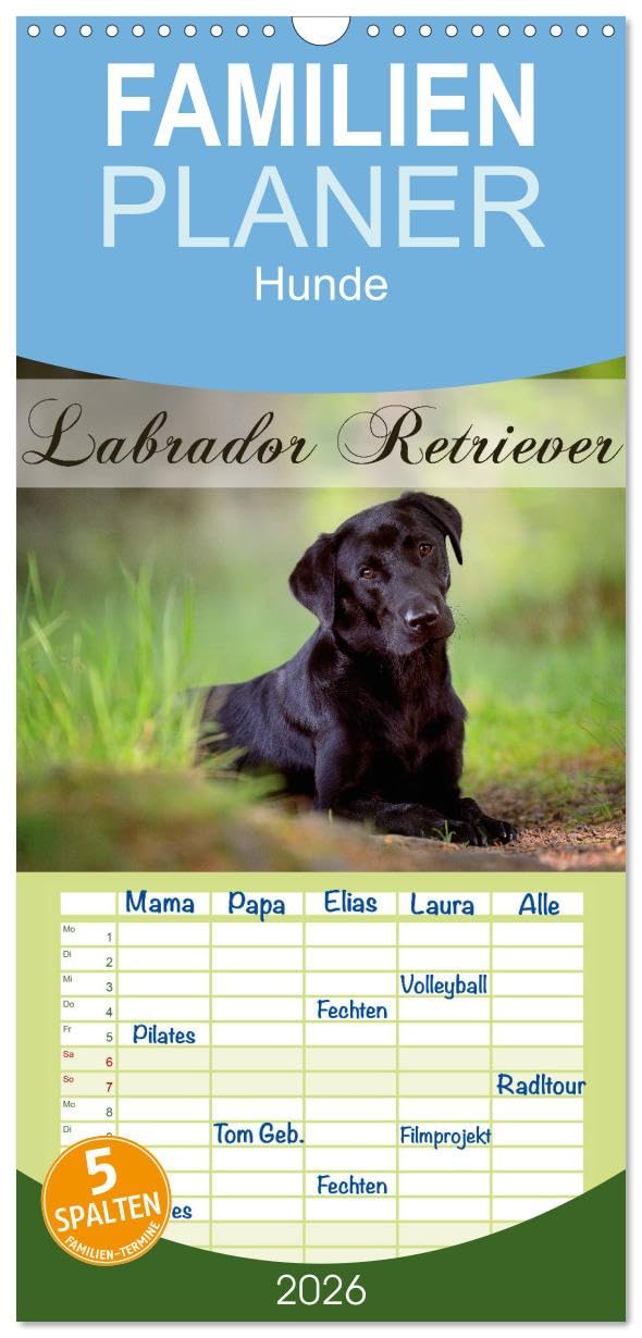 Familienplaner 2026 - Labrador Retriever mit 5 Spalten (Wandkalender, 21 cm x 45 cm), CALVENDO Natural Sciences