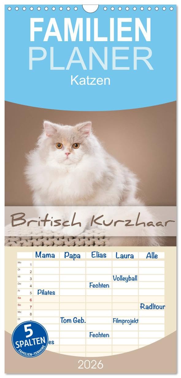 Familienplaner 2026 - Die Britisch Kurzhaar Katze mit 5 Spalten (Wandkalender, 21 cm x 45 cm), CALVENDO Natural Sciences