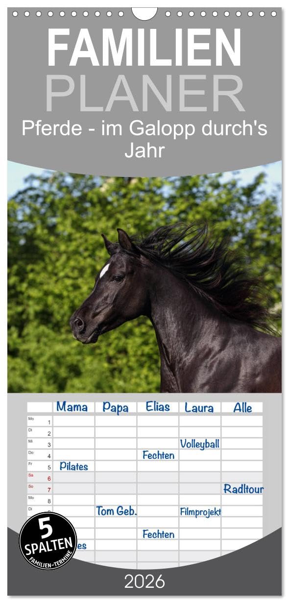 Familienplaner 2026 - Pferde - im Galopp durch's Jahr mit 5 Spalten (Wandkalender, 21 cm x 45 cm), CALVENDO Natural Sciences