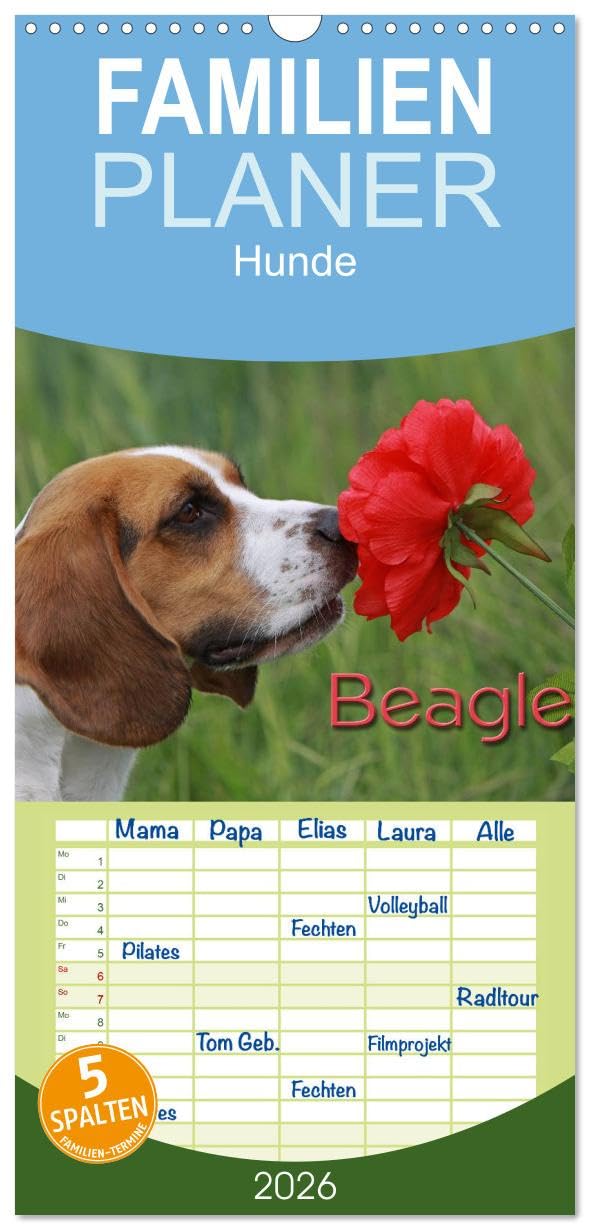 Familienplaner 2026 - Beagle mit 5 Spalten (Wandkalender, 21 cm x 45 cm), CALVENDO Natural Sciences
