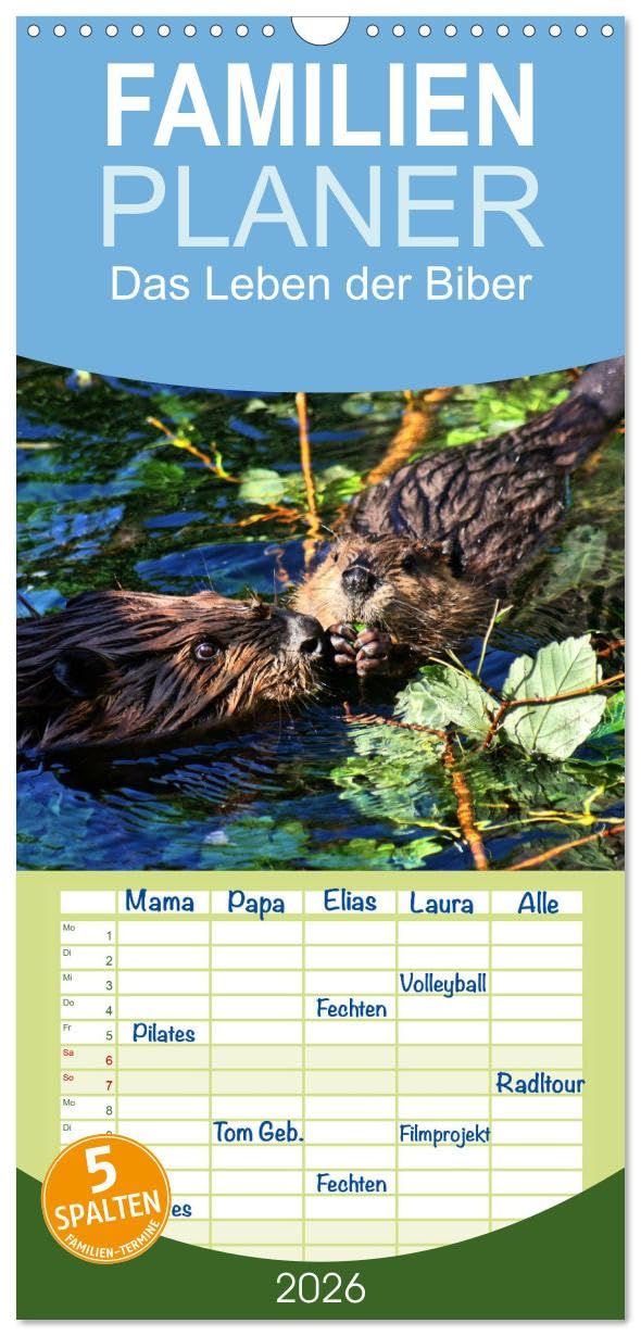 Familienplaner 2026 - Das Leben der Biber mit 5 Spalten (Wandkalender, 21 cm x 45 cm), CALVENDO Natural Sciences