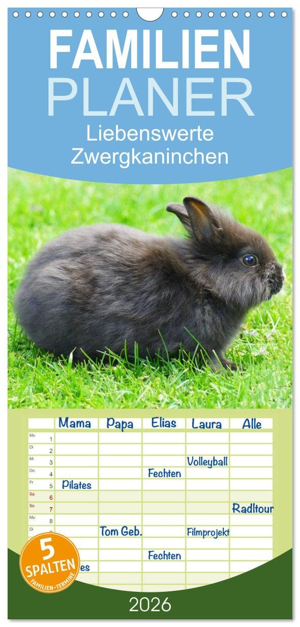 Familienplaner 2026 - Liebenswerte Zwergkaninchen mit 5 Spalten (Wandkalender, 21 cm x 45 cm), CALVENDO Living & Furnishing