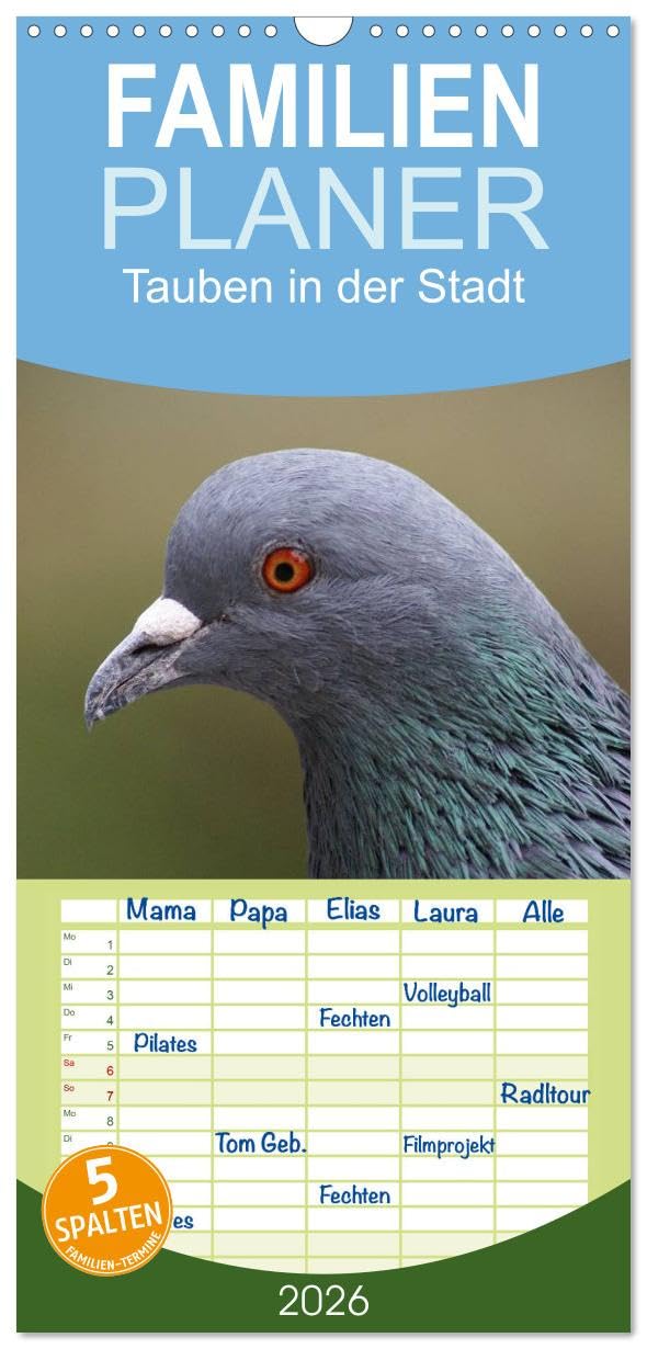 Familienplaner 2026 - Tauben in der Stadt mit 5 Spalten (Wandkalender, 21 cm x 45 cm), CALVENDO Living & Furnishing