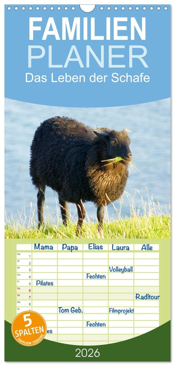 Familienplaner 2026 - Das Leben der Schafe mit 5 Spalten (Wandkalender, 21 cm x 45 cm), CALVENDO Living & Furnishing