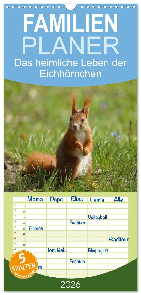 Familienplaner 2026 - Das heimliche Leben der Eichhörnchen mit 5 Spalten (Wandkalender, 21 cm x 45 cm), CALVENDO Natural Sciences