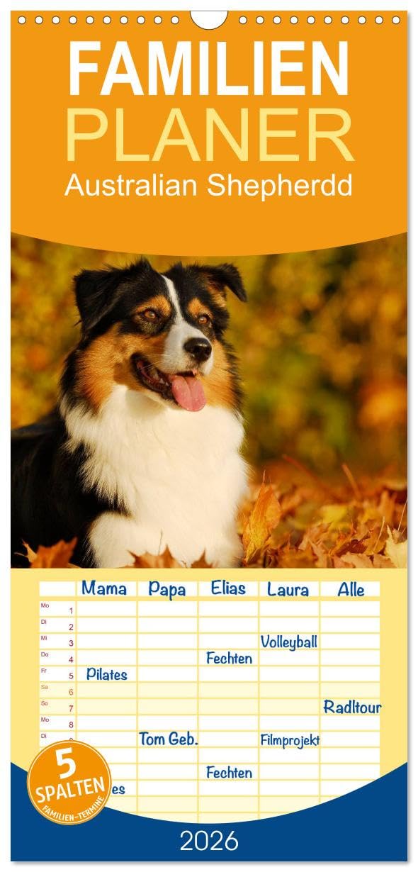 Familienplaner 2026 - Bekannt wie ein bunter Hund. Australian Shepherd mit 5 Spalten (Wandkalender, 21 cm x 45 cm), CALVENDO Natural Sciences