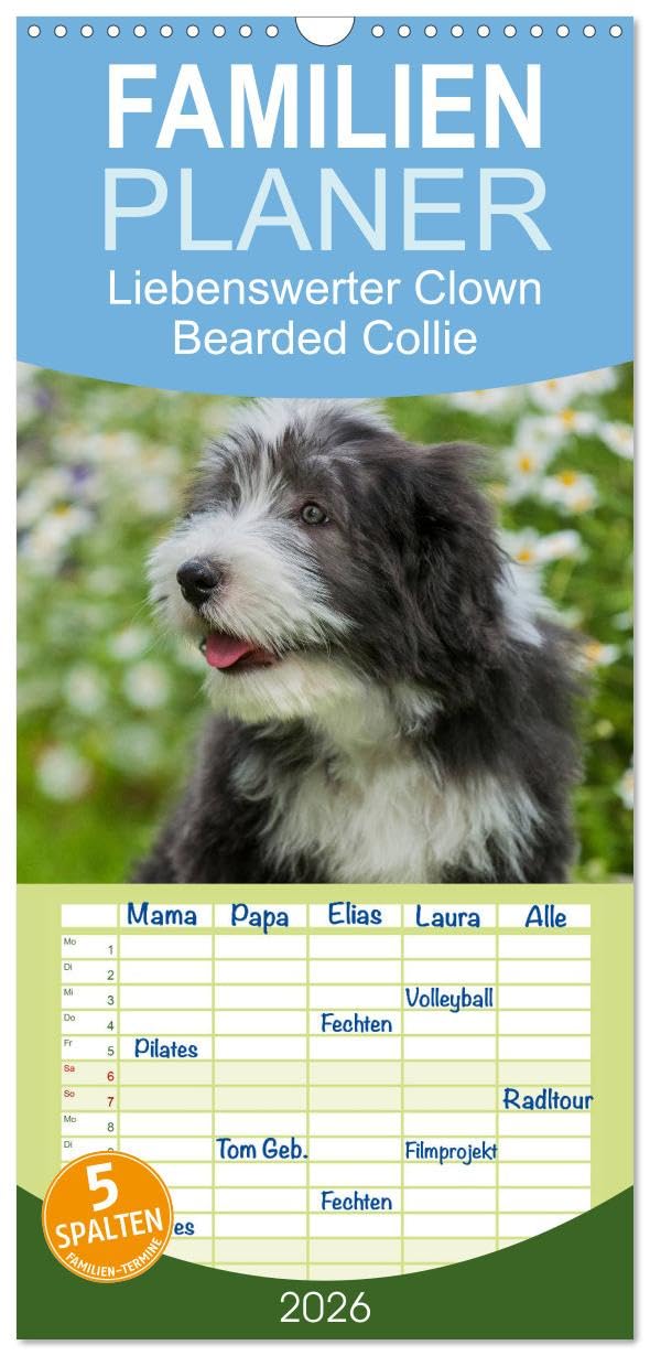 Familienplaner 2026 - Liebenswerter Clown Bearded Collie mit 5 Spalten (Wandkalender, 21 cm x 45 cm), CALVENDO Natural Sciences