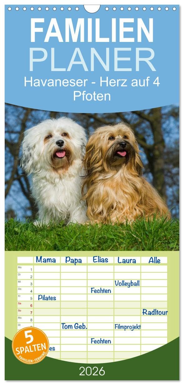 Familienplaner 2026 - Havaneser - Herz auf 4 Pfoten mit 5 Spalten (Wandkalender, 21 cm x 45 cm), CALVENDO Pets
