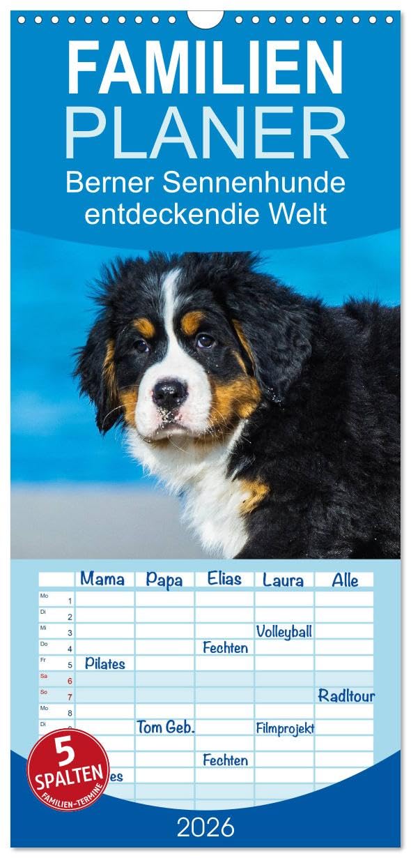 Familienplaner 2026 - Seebärchen entdecken die Welt - Berner Sennenhunde mit 5 Spalten (Wandkalender, 21 cm x 45 cm), CALVENDO Natural Sciences
