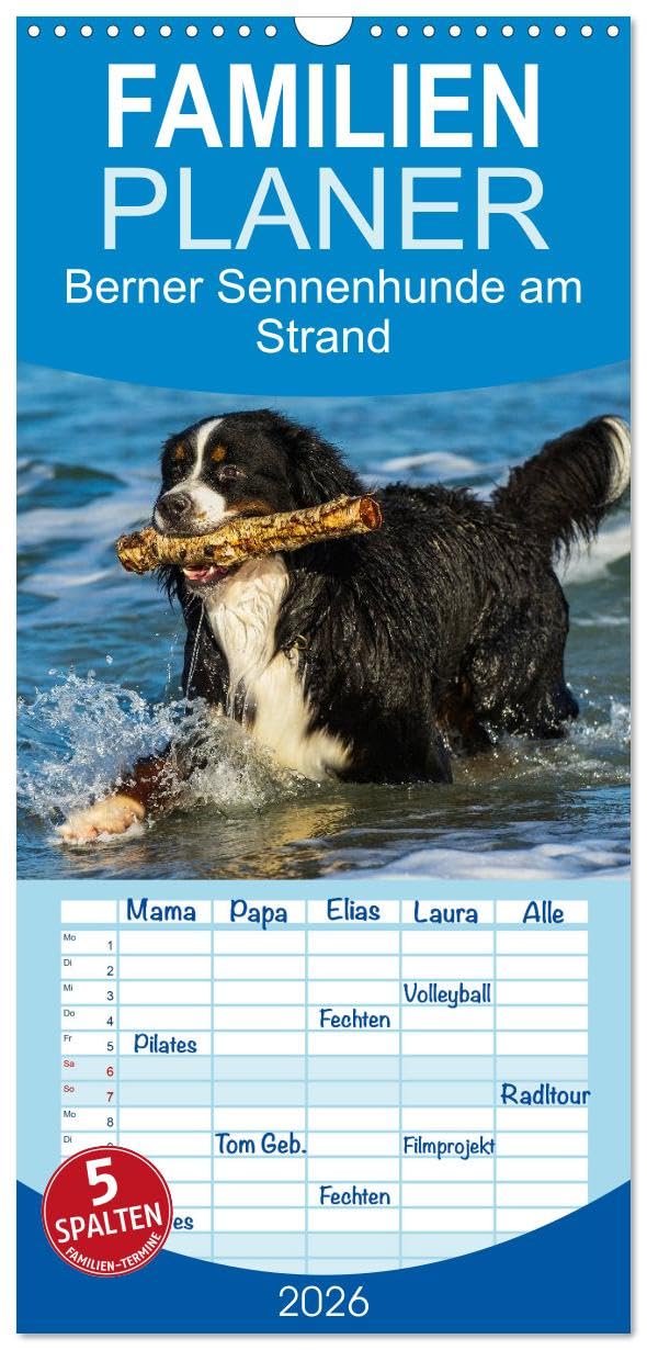 Familienplaner 2026 - Berner Sennenhunde am Strand mit 5 Spalten (Wandkalender, 21 cm x 45 cm), CALVENDO Natural Sciences