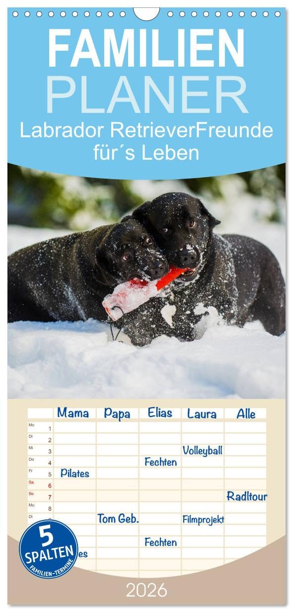 Familienplaner 2026 - Labrador Retriever - Freunde für´s Leben mit 5 Spalten (Wandkalender, 21 cm x 45 cm), CALVENDO Natural Sciences