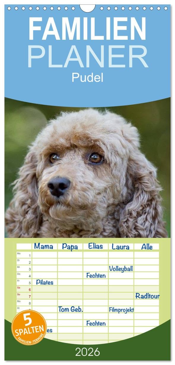 Familienplaner 2026 - Pudel mit 5 Spalten (Wandkalender, 21 cm x 45 cm), CALVENDO Natural Sciences