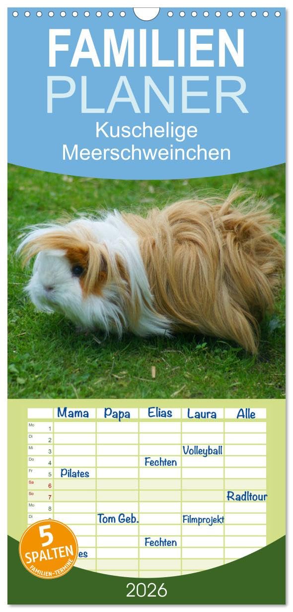 Familienplaner 2026 - Kuschelige Meerschweinchen mit 5 Spalten (Wandkalender, 21 cm x 45 cm), CALVENDO Living & Furnishing