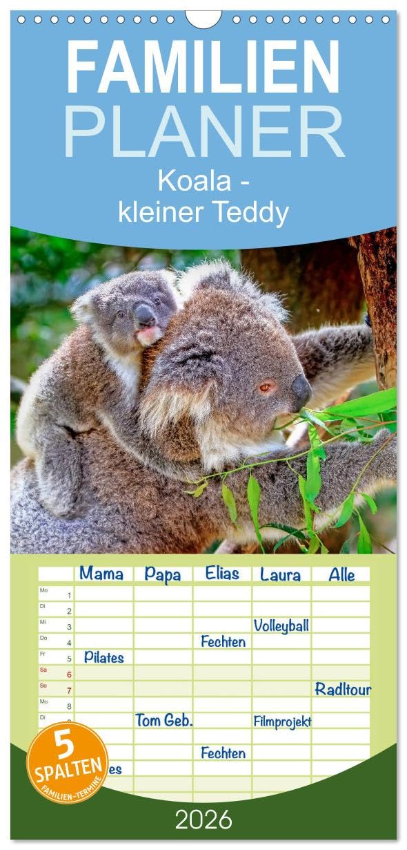 Familienplaner 2026 - Koala - kleiner Teddy mit 5 Spalten (Wandkalender, 21 cm x 45 cm), CALVENDO Living & Furnishing