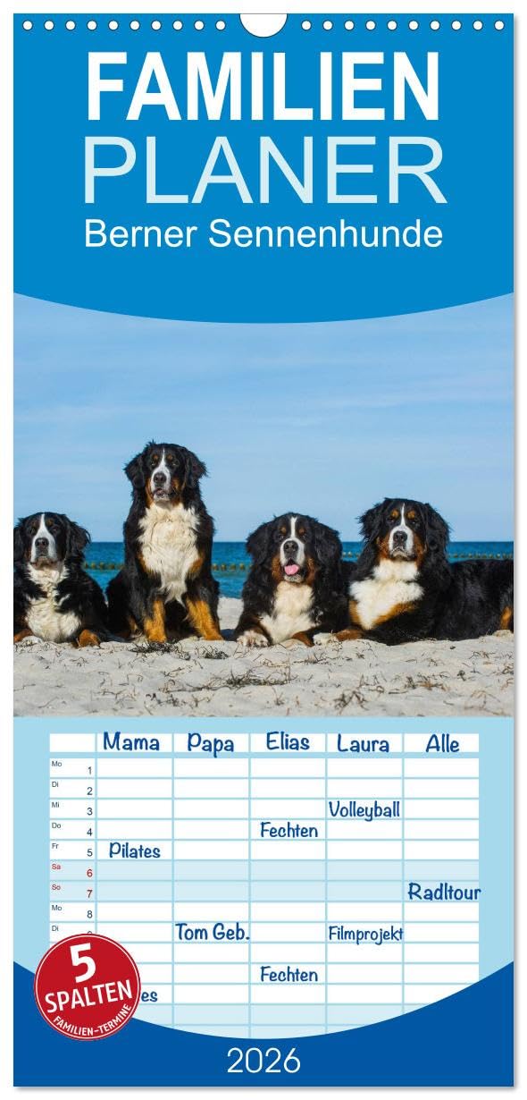 Familienplaner 2026 - Berner Sennenhund 2026 mit 5 Spalten (Wandkalender, 21 cm x 45 cm), CALVENDO Natural Sciences
