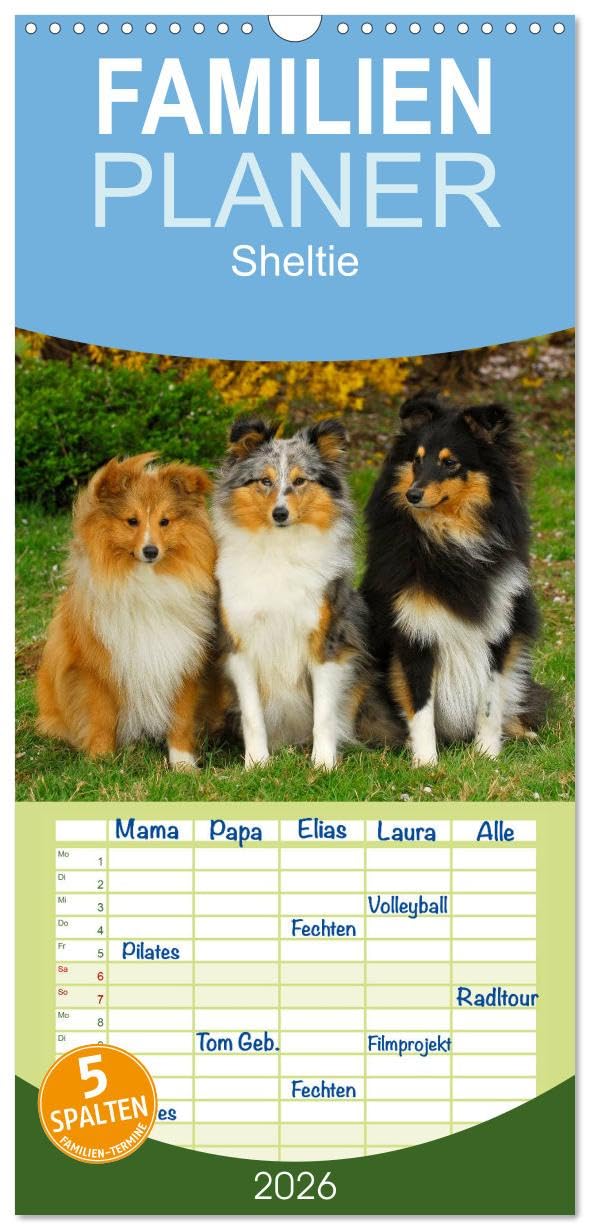 Familienplaner 2026 - Sheltie 2026 mit 5 Spalten (Wandkalender, 21 cm x 45 cm), CALVENDO Natural Sciences
