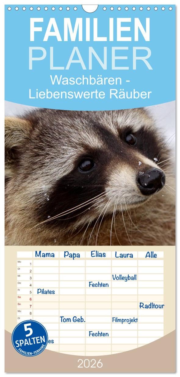 Familienplaner 2026 - Waschbären mit 5 Spalten (Wandkalender, 21 cm x 45 cm), CALVENDO Natural Sciences