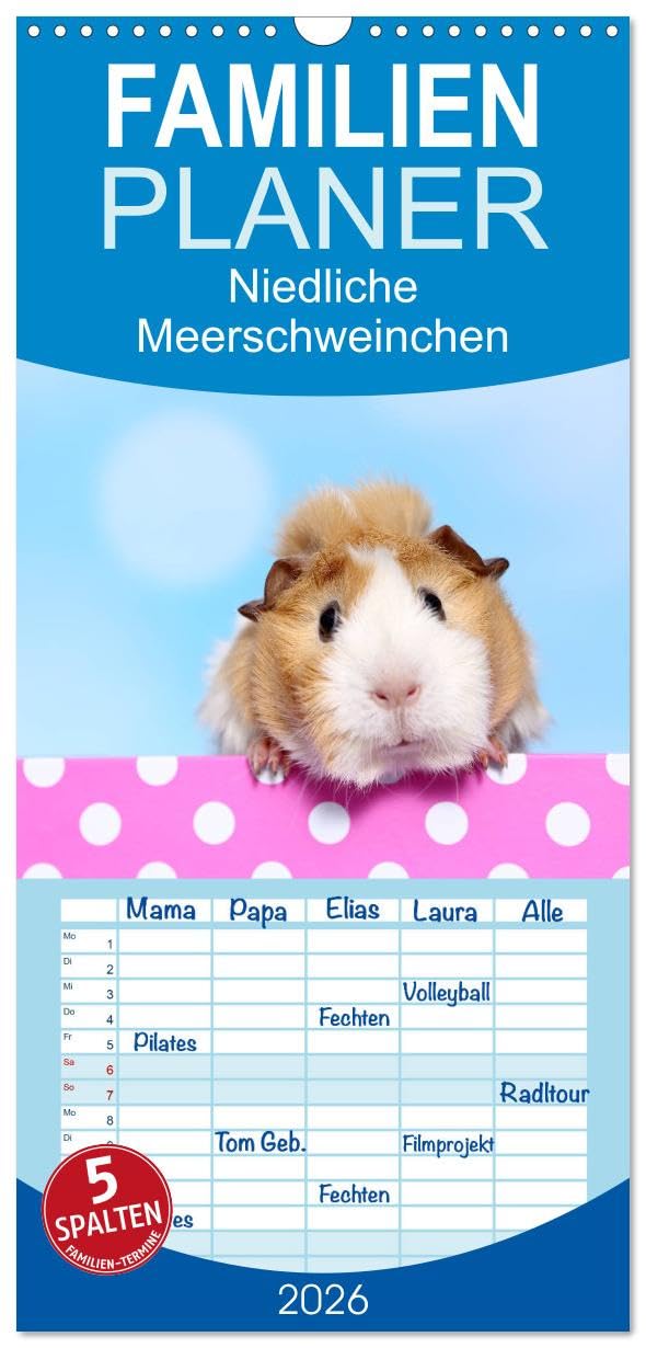 Familienplaner 2026 - Niedliche Meerschweinchen mit 5 Spalten (Wandkalender, 21 cm x 45 cm), CALVENDO Living & Furnishing