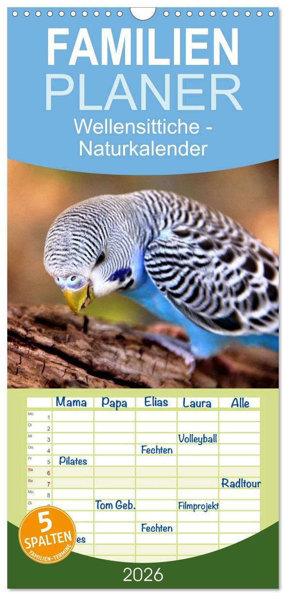 Familienplaner 2026 - Wellensittiche - Naturkalender mit 5 Spalten (Wandkalender, 21 cm x 45 cm), CALVENDO Photography