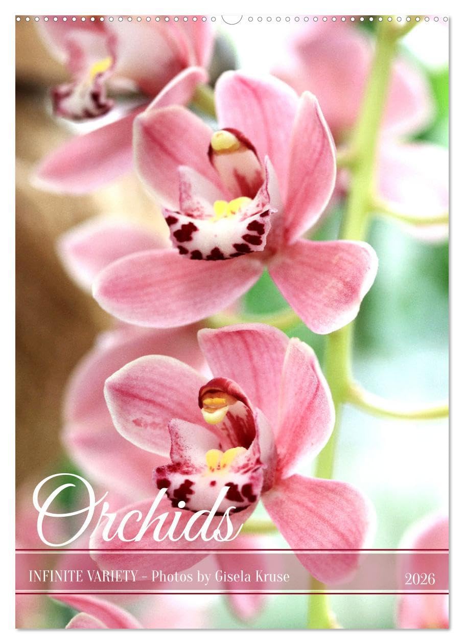 Orchids - Infinite Variety (Wall Calendar 2026 DIN A2 portrait), CALVENDO 12 Month Wall Calendar: Diverse orchid flowers in expressive photographs Leisure, Home & Garden
