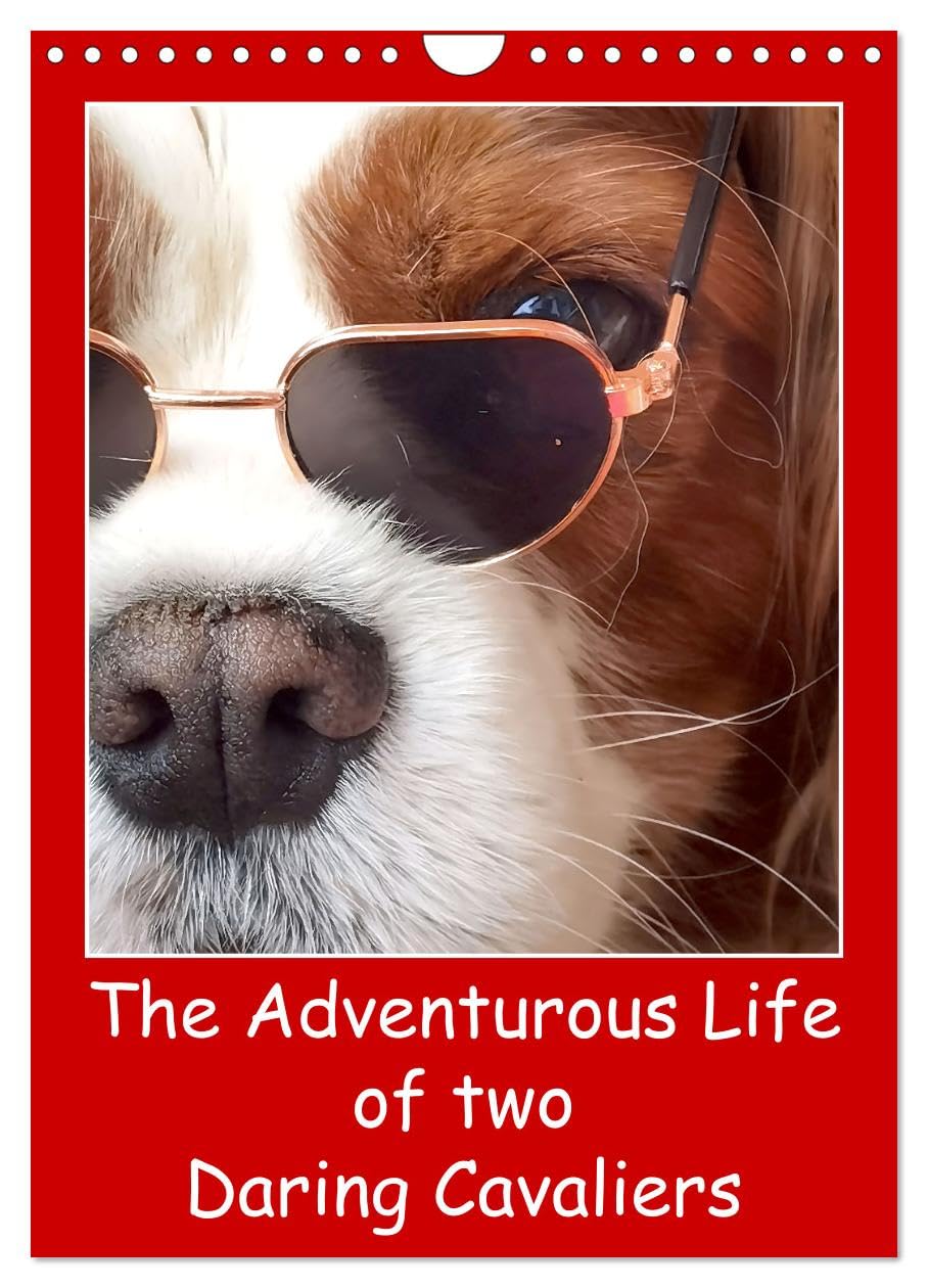 The Adventurous Life of two Daring Cavaliers (Wall Calendar 2026 DIN A4 portrait), CALVENDO 12 Month Wall Calendar: Two charming Cavaliers bring joy to dog lovers daily Natural Sciences
