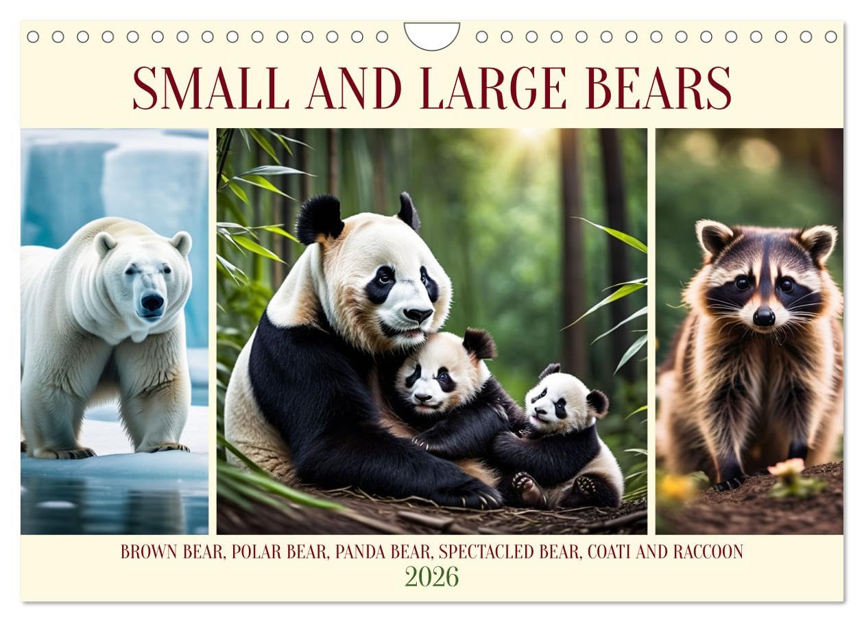 Small and large bears (Wall Calendar 2026 DIN A4 landscape), CALVENDO 12 Month Wall Calendar: Brown bear, Polar bear, Panda bear, Spectacled bear, Coati and Raccoon Natural Sciences