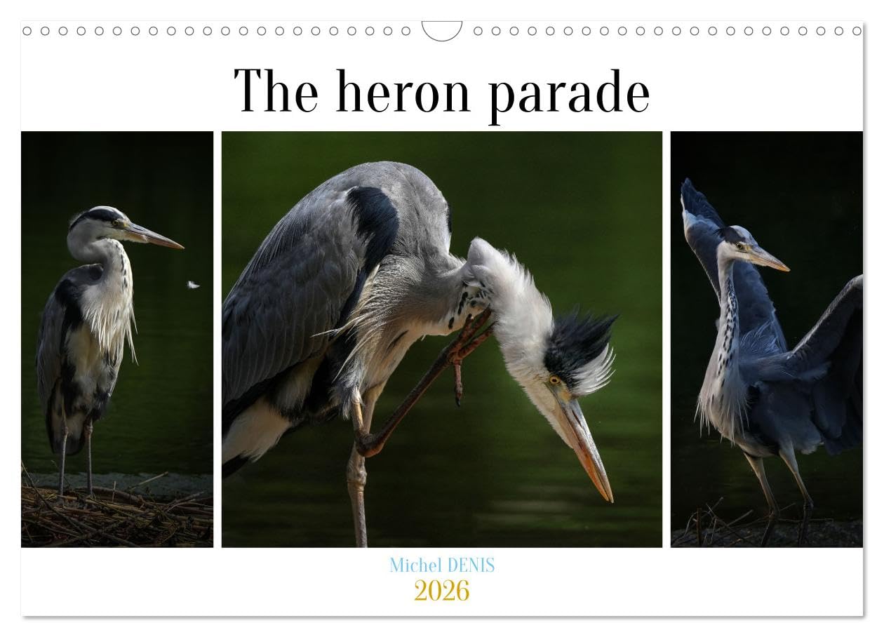 The heron parade (Wall Calendar 2026 DIN A3 landscape), CALVENDO 12 Month Wall Calendar: Various pictures of a heron in a pond Business & Technology