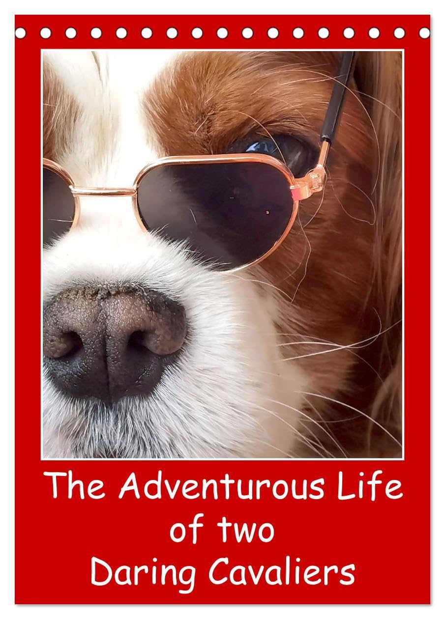 The Adventurous Life of two Daring Cavaliers (Desk Calendar 2026 DIN A5 portrait), CALVENDO 12 Month DeskCalendar: Two charming Cavaliers bring joy to dog lovers daily Natural Sciences