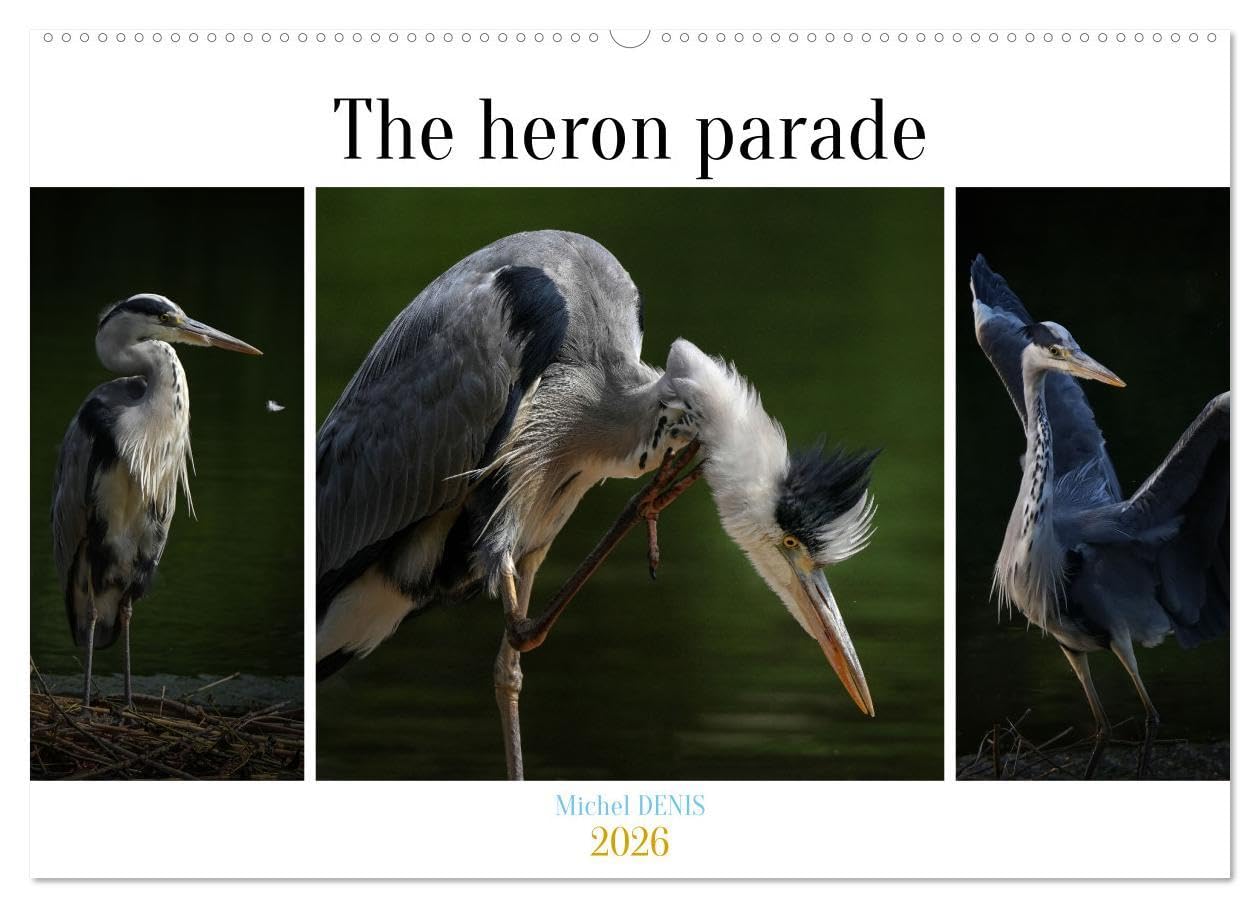 The heron parade (Wall Calendar 2026 DIN A2 landscape), CALVENDO 12 Month Wall Calendar: Various pictures of a heron in a pond Business & Technology