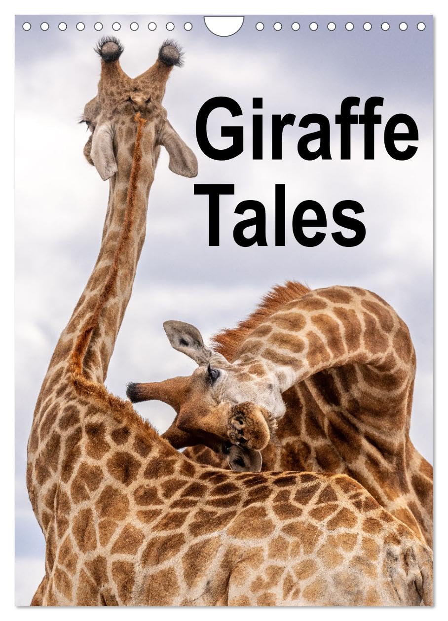 Giraffe Tales (Wall Calendar 2026 DIN A4 portrait), CALVENDO 12 Month Wall Calendar: Graceful giraffes, stunning views Natural Sciences