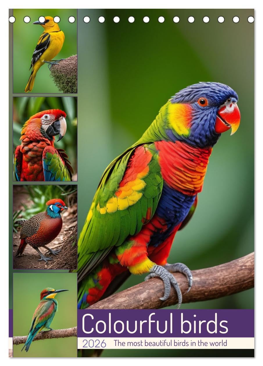 Colourful birds (Desk Calendar 2026 DIN A5 portrait), CALVENDO 12 Month DeskCalendar: The most beautiful birds in the world Natural Sciences