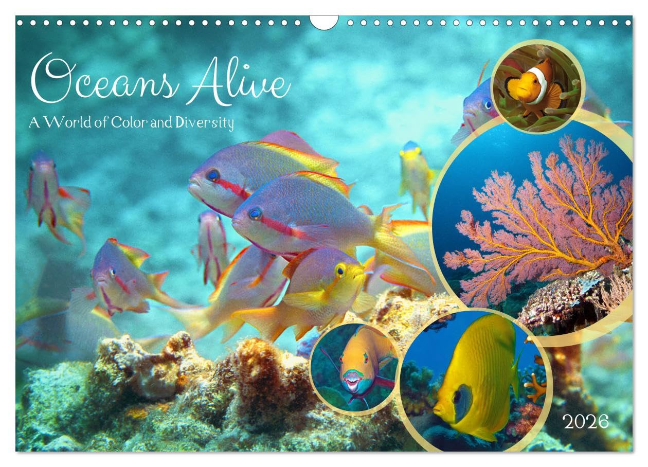 Oceans Alive - A World of Color and Diversity (Wall Calendar 2026 DIN A3 landscape), CALVENDO 12 Month Wall Calendar: Discover the Richness of Marine Life! Film, Art & Culture