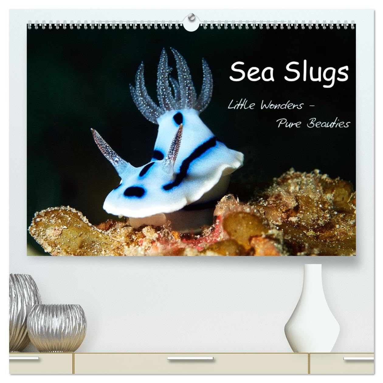 Sea Slugs - Little Wonders - Pure Beauties (High Quality Premium Wall Calendar 2026 DIN A2 landscape),CALVENDO 12 Month Wall Calendar: Little Wonders - Pure Beauties Undersea Leisure & Fun